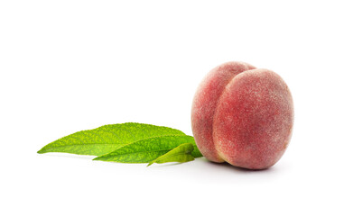 One peach with leaf.