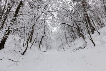 park in the winter season