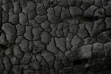 Natural fire ashes with dark grey black coals texture. It is a flammable black hard rock. Space for text.