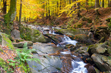 Szepit waterfall on the Hylaty stream, Bieszczady Mountains