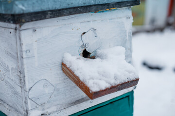 Beehive entrance covered with thick layer of snow. beehives in garden in winter snow floor....