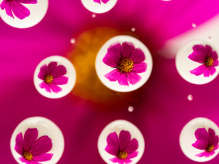 glass with water drops and flower behind it - art macro photography