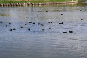 Landscapes of Moscow