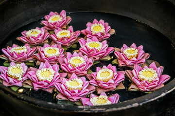 Obraz na płótnie Canvas pink origami lotus flower floating in water 