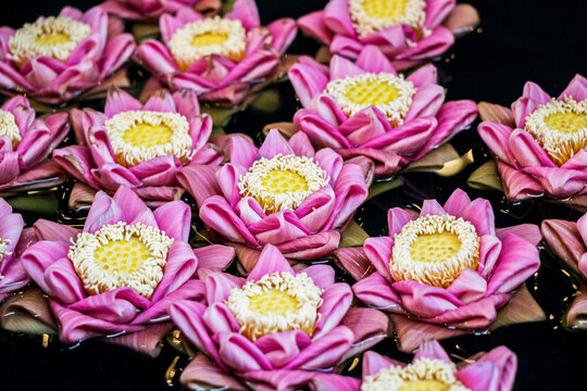 pink origami lotus flower floating in water	
