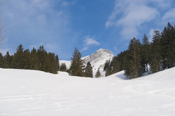 beautiful winter landscape, snow-covered trees, mountainpass, snowfall in the mountains, Swiss Alps in the snow, walks in the winter white forest, tourism, winter sports