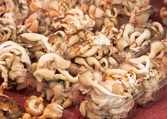 Variety of mushrooms at a local outdoor market