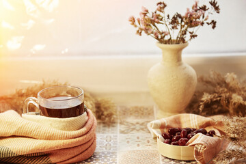 Cozy autumn home. Natural healthy calming drink with dogwood berry. Autumn healthy food. Pastel colors with copy space. Healthy organic food. Vitamin tea