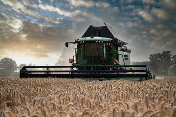 Fototapeta premium Agrarfoto -moderner Mähdrescher im Einsatz, - Frontansicht.
