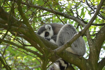 Obraz premium day rest