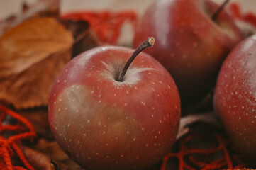 Red apple harvest in bag autumn season 