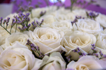 A bouquet of fresh roses. Festive gift flowers for the hero of the day.