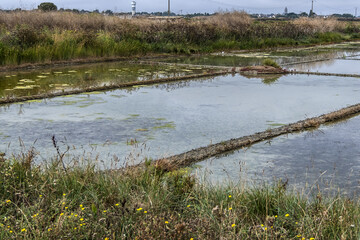 Guerande salt marshes. Salterns of Guerande - swamp of salt water about 1 700 hectares in size....