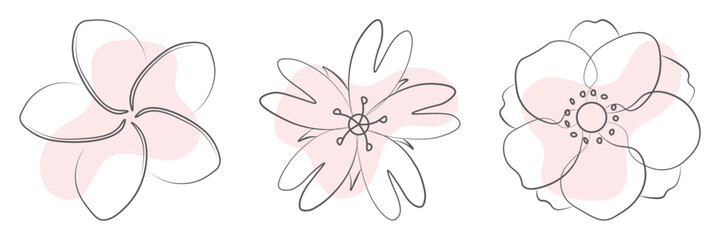 illustration of flowers isolated on a white background
