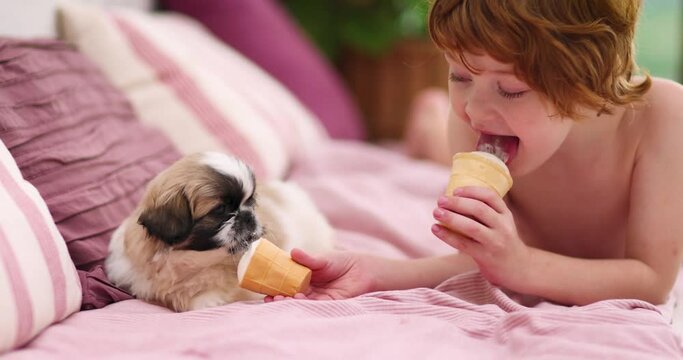 generous boy, kid enjoys the ice cream together with puppy dog while relaxing on the lounge on warm summer day, care and friendship