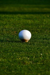 golf ball on the green