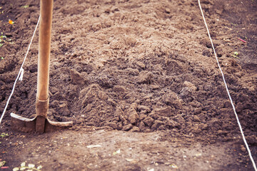 Digging the earth. The ropes are stretched to level the beds. The shovel is stuck in the ground.