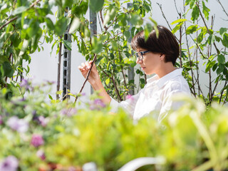 Woman chooses plants and trees for landscaping. Outdoor shelves with seedlings, flowering plants...