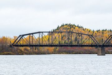A metal trestle bridge over a wide river. The old bridge has concrete pillars and multiple spans. The river is fast moving water. The background is of an orange and yellow autumn forest of trees. 