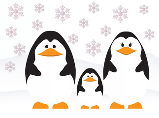 penguins on the snow