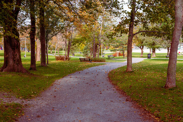 Autumn path in a park with trees of golden, green, and red leaves. The location of the birch and maple trees forms a tunnel with a dark center at the end of the gravel footpath.  The sun is shining.