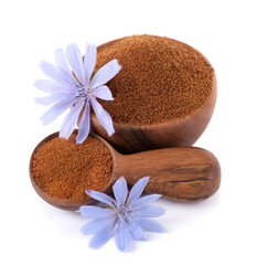 Chicory powder and flower in wooden bowl and spoon, isolated on white background. Cichorium intybus.
