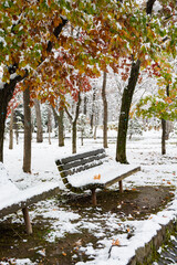 初冬の公園のベンチ
