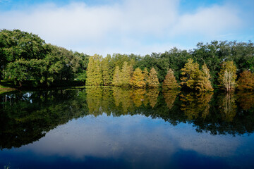 Landscape of Historical Town of Temple Terrace Florida	