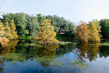 Beautiful pond in a florida community