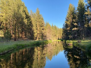 autumn trees reflected in water