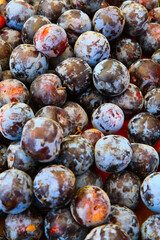 Fruits and vegetables from farmer's market