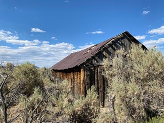 old abandoned house