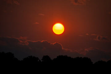Big Sun in Sunset over trees 
