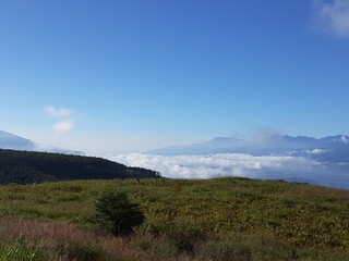 日本の長野県・秋の蓼科高原