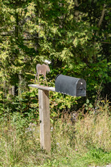 Moose Topper on a Rural Mailbox