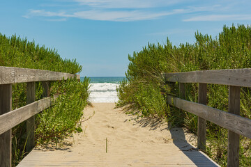 A wooden boardwalk allows visitors to walk across the sand dunes to the beach on Ocracoke Island, Cape Hatteras National Seashore.