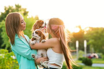 Mother and daughter breeders walk in city park with pets. Cavalier King Charles Spaniel puppies...