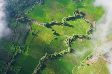 Aerial view landscape of Farm land fild in rural village mountains of asia with mist fog during morning time