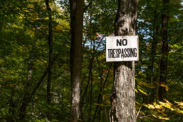 No Trespassing Sign on a Tree in the Forest