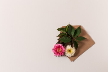 Beautiful pink and white asters lay on kraft paper envelope with autumn green leaves. White background. Isolated.