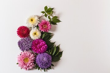 Bouquet of colorful aster flowers on a white background. Autumn composition with green leaves. Isolated.