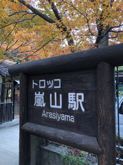 日本の秋の嵐山を観光しました