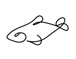 Black silhouette of fish as line drawing on white background. Vector