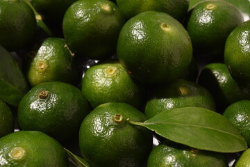 収穫されたシークヮーサーの風景