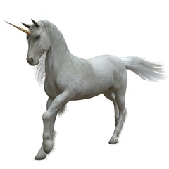 Fototapeta na wymiar Fantasy unicorn isolated on white background 3d illustration