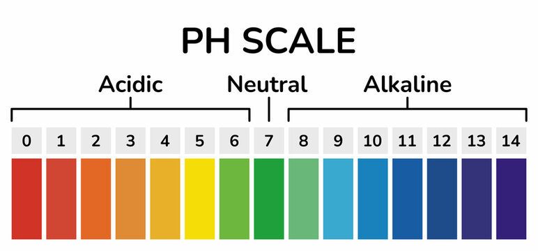 Ph Scale Images – Browse 29,042 Stock Photos, Vectors, and Video