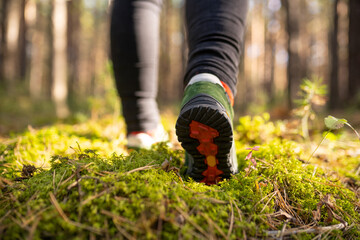 walking in the woods
