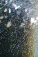 Abstract raindrops nature background. Rain on long exposure. Rain drops motion. Trails of falling raindrops