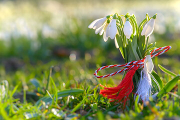 Martisor and snowdrops on wooden floor. 1st of March Romanian eastern european spring tradition to...