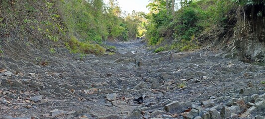 dry river in tropical forest with natural rocks, river natural stone background